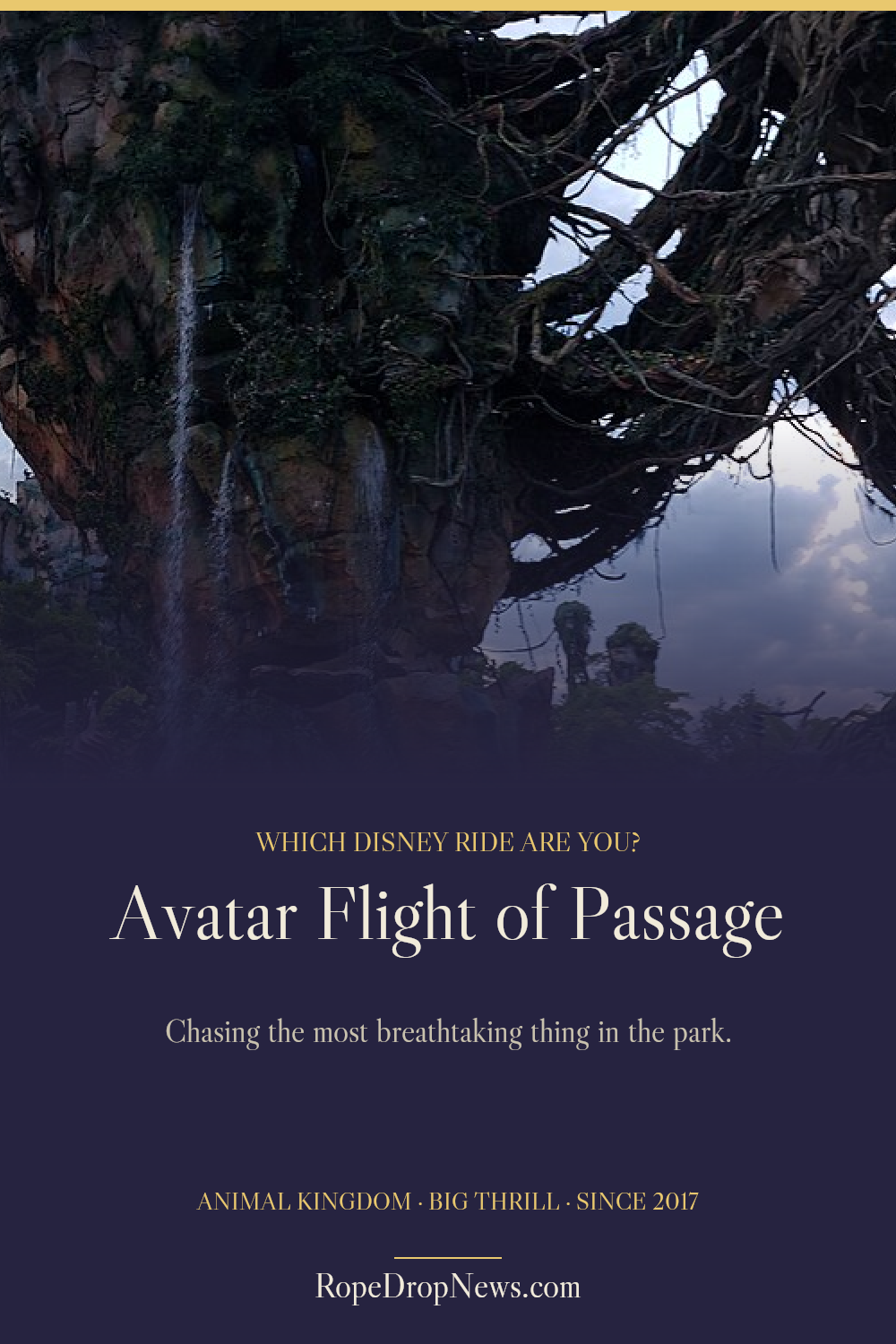 Which Disney Ride Are You card for Avatar Flight of Passage