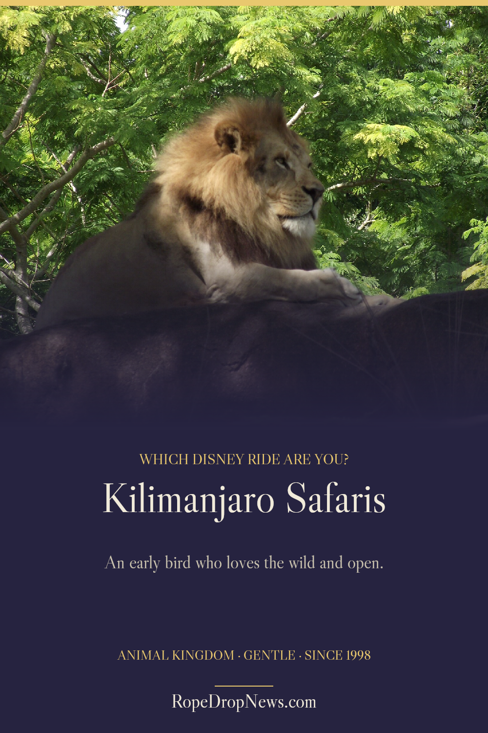 Which Disney Ride Are You card for Kilimanjaro Safaris