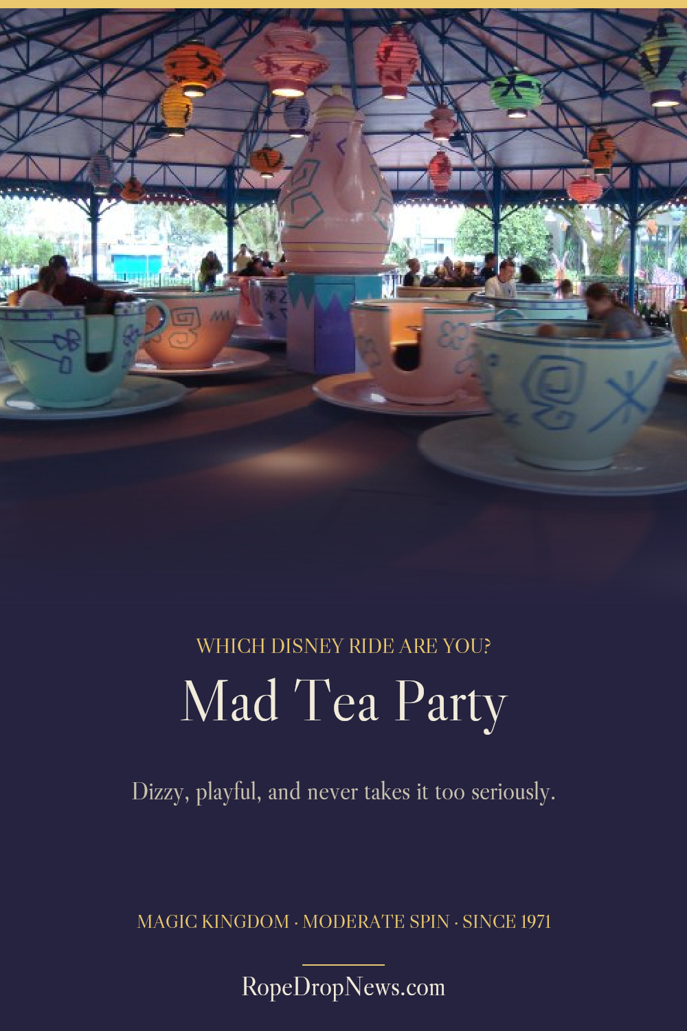 Which Disney Ride Are You card for Mad Tea Party
