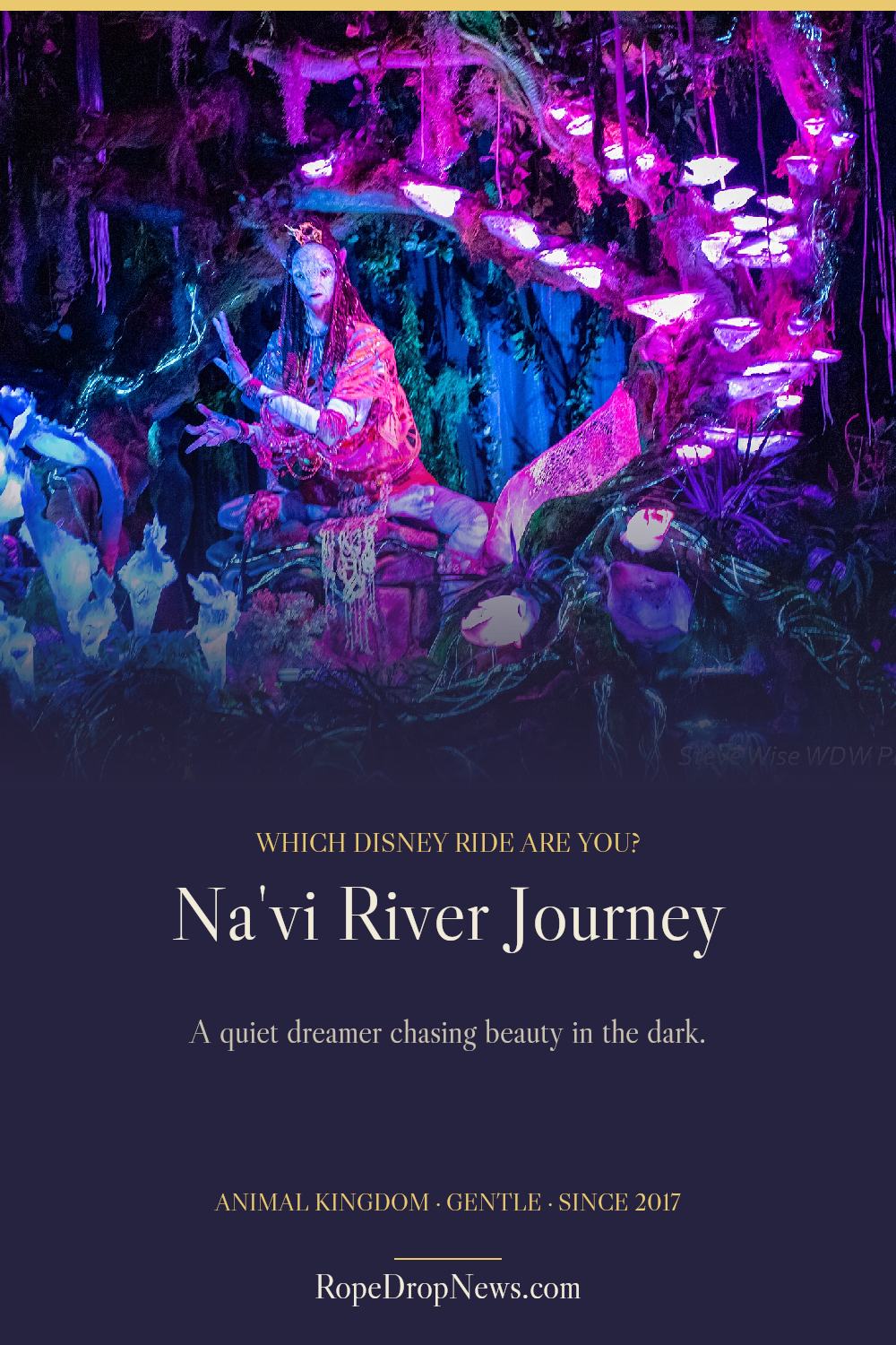 Which Disney Ride Are You card for Na'vi River Journey