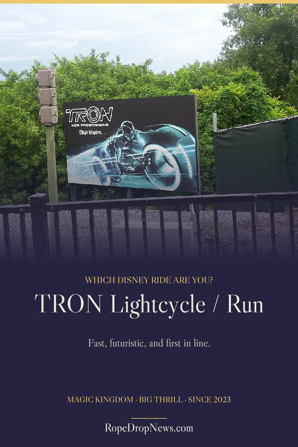 Which Disney Ride Are You card for TRON Lightcycle / Run