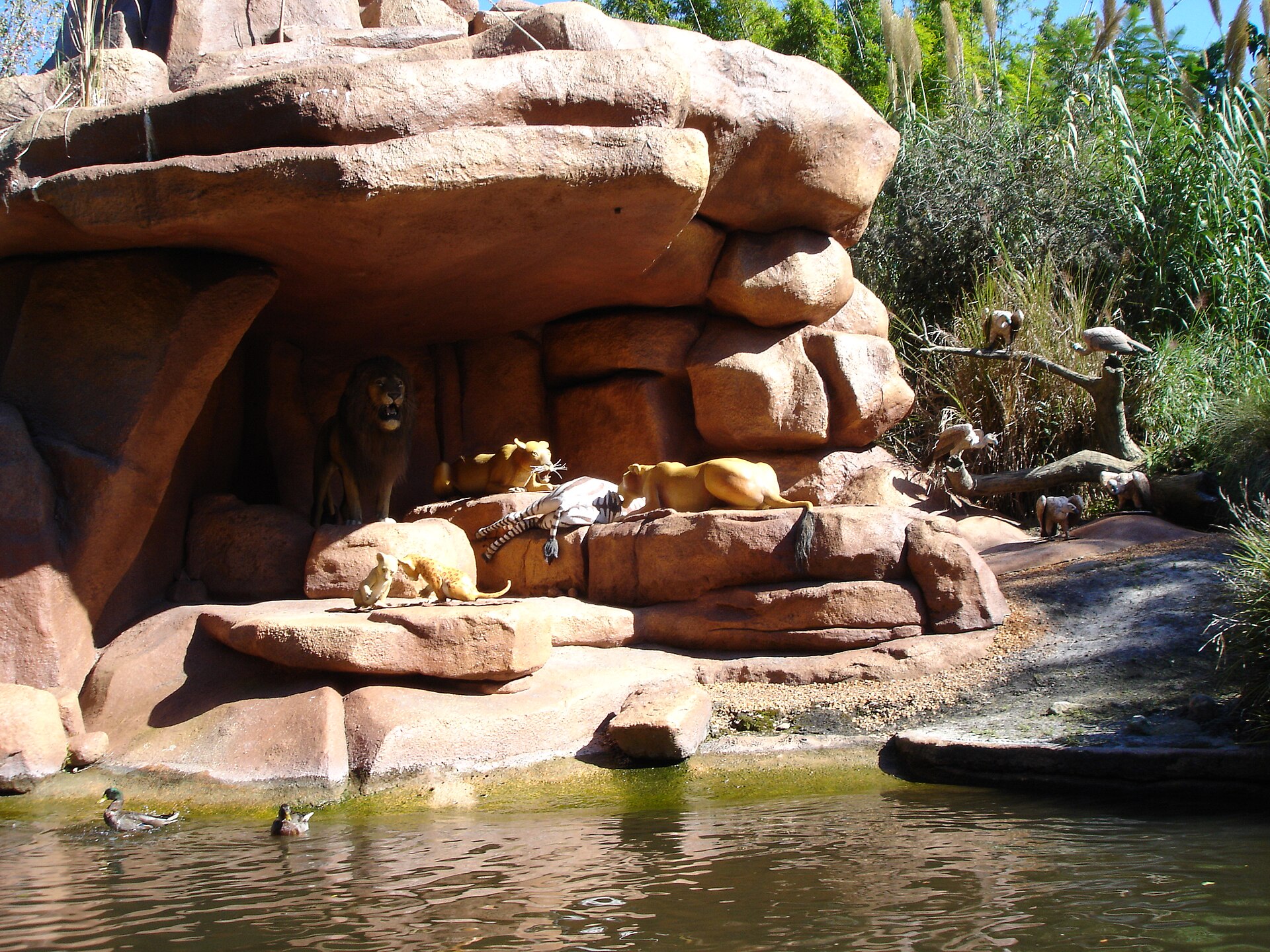 Jungle Cruise at Magic Kingdom