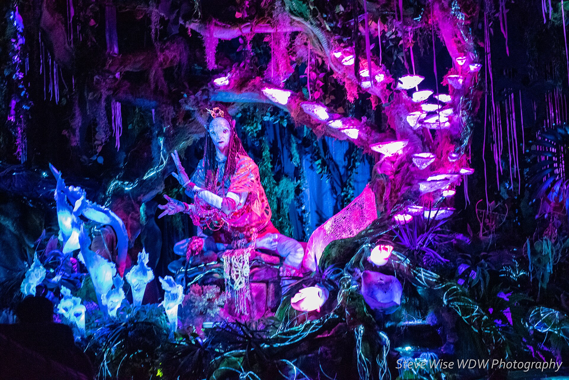 Na'vi River Journey at Animal Kingdom
