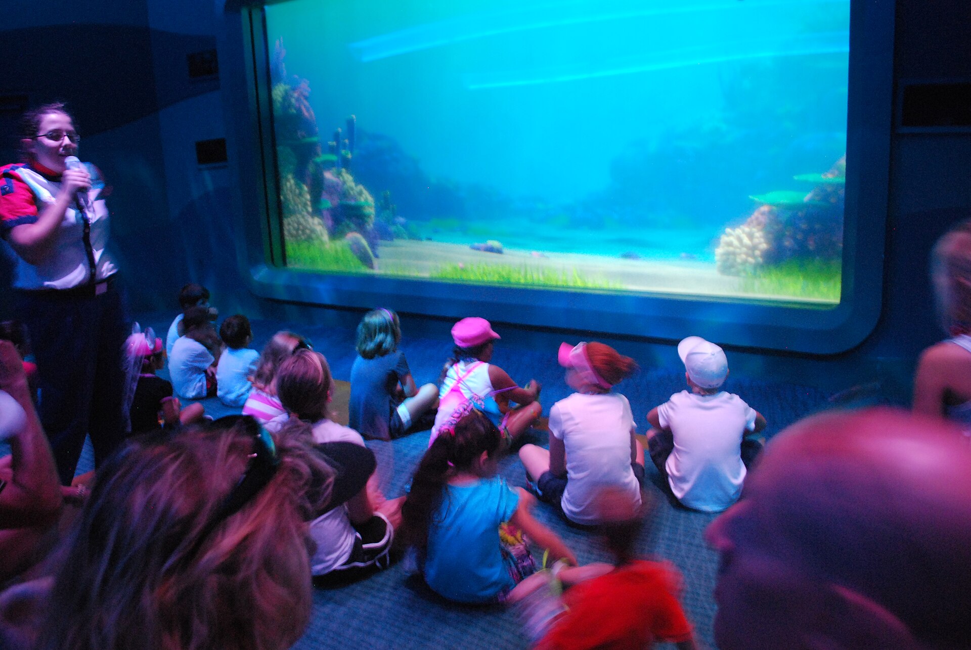 Turtle Talk With Crush at EPCOT